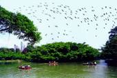 https://www.birds-paradise.com/UploadFile/UploadFiles/2010614183632507.jpg